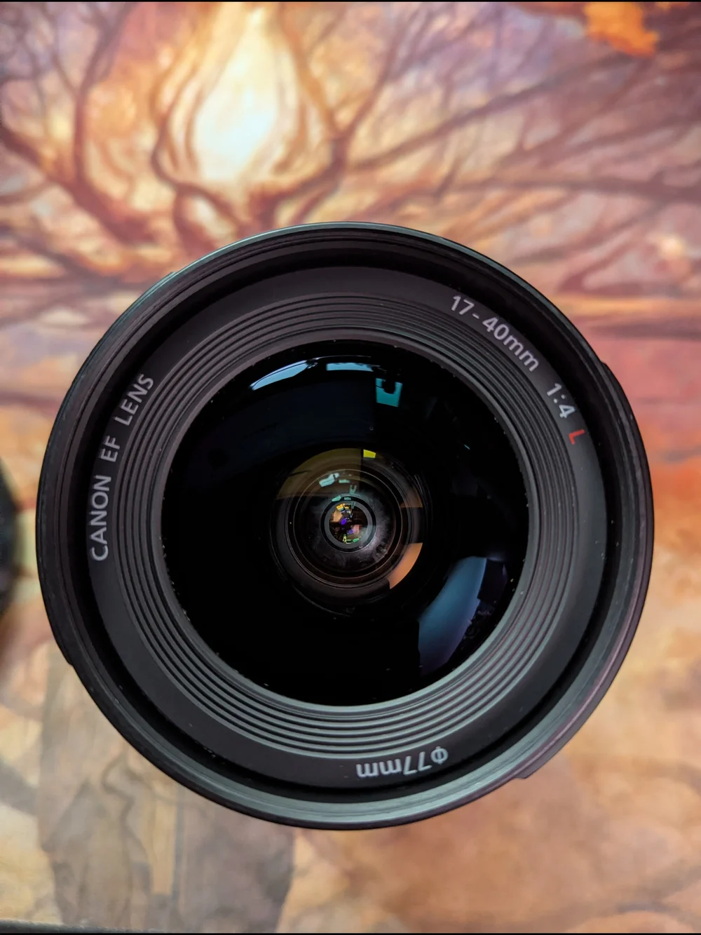 Canon glass perfect